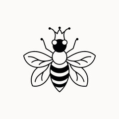A honeybee on white background