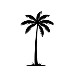 Silhouette Palm Tree: A stark black silhouette of a palm tree against a minimalist backdrop, evoking the essence of tropical landscapes.