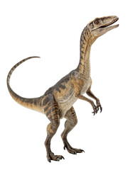 Realistic Compsognathus Dinosaur Standing Upright