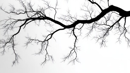 Fototapeta premium Elegance of Minimalism in Tree Branch Silhouettes