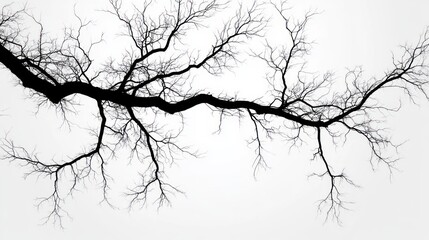 Obraz premium Elegant Minimalism in Black and White Tree Silhouettes