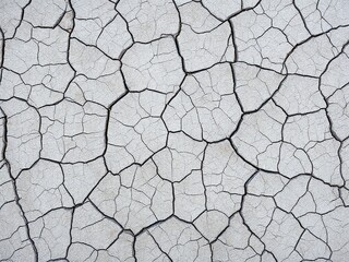 High-Resolution Cracked Earth & Weathered Wood Texture Pattern Background
