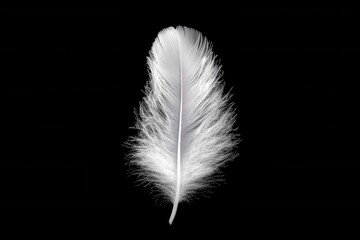 Experience the ethereal beauty of a single soft white feather floating down in slow motion, captured in stunning detail This image evokes feelings of peace, tranquility, and gentle surrender Ideal