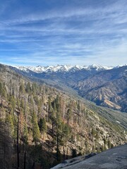 Fototapeta premium Sequoia Mountain Range