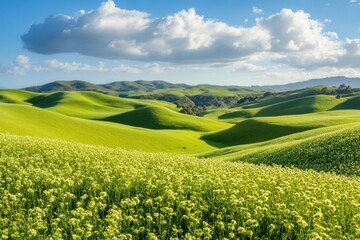 Fototapeta premium Lush Green Rolling Hills Under Blue Sky with White Clouds
