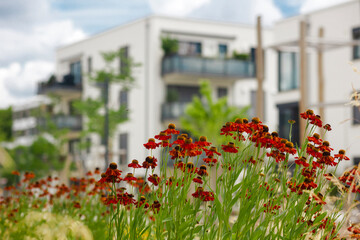 Residential Modern Buildings in Europe with White Facade, Flower Landscaping on Building...
