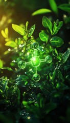 Vibrant hydrogen molecule icon illuminating lush greenery with dewdrops symbolizing renewable energy