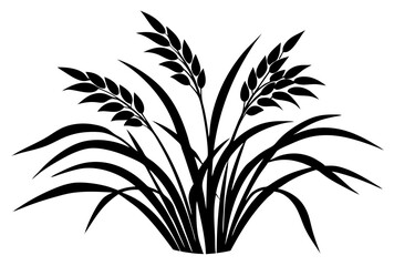 palm tree isolated on white