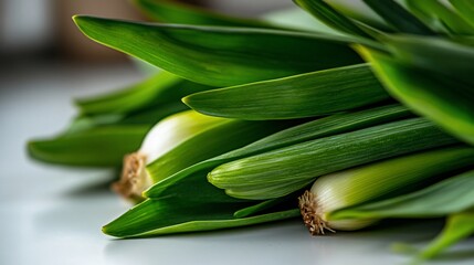 Obraz premium Vibrant close-up of fresh green scallions displaying organic vitality