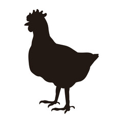 黒い鶏のシルエットのイラスト