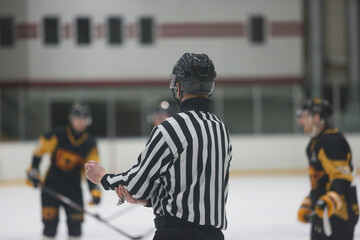 The referee at a hockey match controls the game. View from the back