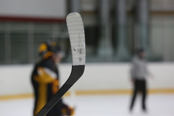 A hockey stick in the foreground, with scenes of a hockey match in the background