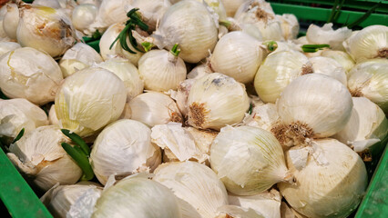 White onion close up in supermarket. Lots of white onions in plastic green box on market stall. Onions at farmers market. Onions for sale in store