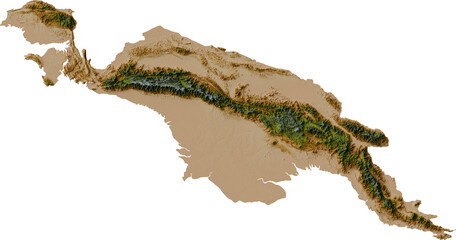 Colored terrain map of New Guinea island © Terry
