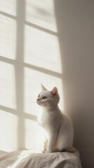 cat on window sill wallpaper