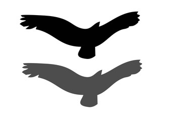 Fototapeta premium collection of birds silhouette vector illustration