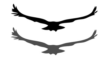 Fototapeta premium collection of birds silhouette vector illustration