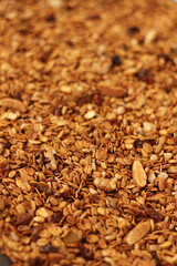 Granola. Closeup of Honey Granola with Walnuts, Almonds, Sunflower Seeds and Raisins. Food for Breakfast.	