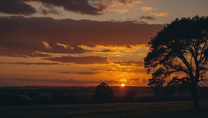 Obraz premium Vivid sunset casting golden light over a tranquil countryside landscape, with a prominent tree silhouette against a fiery sky, cre