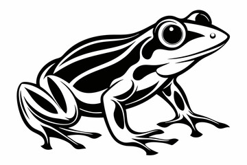 frog line art silhouette vector illustration