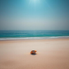 Obraz premium Peaceful beach scene with a single shell
