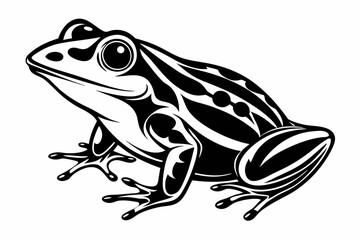 frog line art silhouette vector illustration