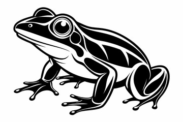 frog line art silhouette vector illustration
