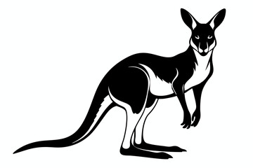 kangaroo line art silhouette vector illustration
