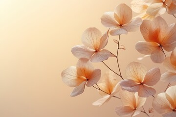 Botanical Abstract Composition of Dried Flower Petals Beige Leaves Natural Texture Modern Aesthetic