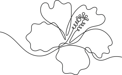 Hibiscus flower in one continuous line art drawing style. Minimalist black line sketch isolated on white background. Vector illustration