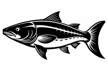 salmon fish line art silhouette vector illustration