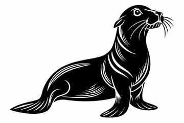 sea lion line art silhouette vector illustration