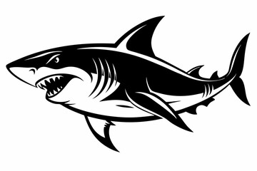 Obraz premium shark vector illustration