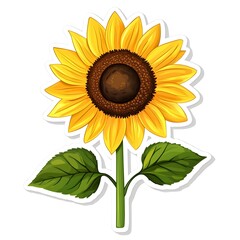 Naklejka premium Sunflower: A vibrant sunflower blooms, its golden petals radiating warmth and joy.