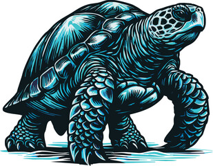 turtle. Realistic, artistic, colored drawing of a sea turtle on a transparant background