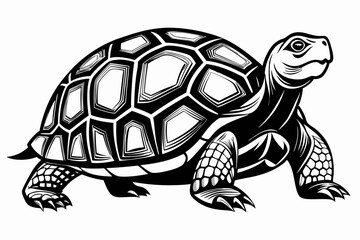 tortoise line art silhouette vector illustration