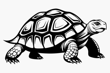 tortoise line art silhouette vector illustration