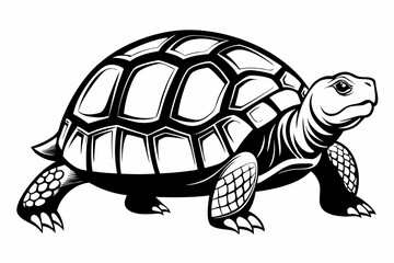 tortoise line art silhouette vector illustration