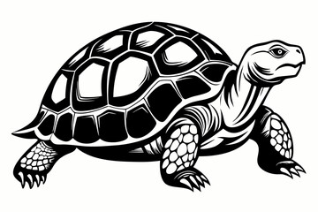 tortoise line art silhouette vector illustration