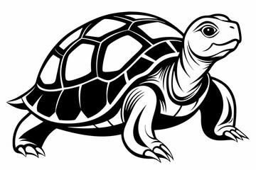 turtle line art silhouette vector illustration