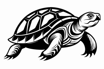Fototapeta premium turtle line art silhouette vector illustration