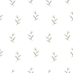 Watercolor seamless pattern with white flowers branches. Isolated on white background. Hand drawn clipart. Perfect for card, fabric, tags, invitation, printing, wrapping.
