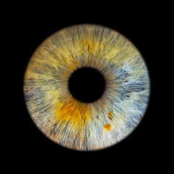 iris augenfoto pers&ouml;nlich makroaufnahme