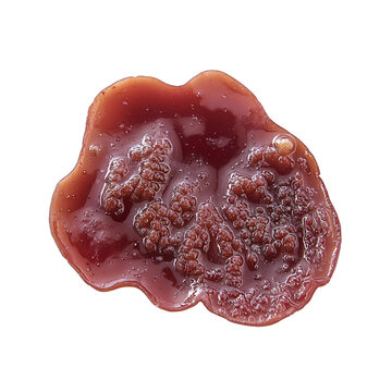 Detailed illustration of a blood vessel highlighting gut immunity and peyer's patches on a bright white background