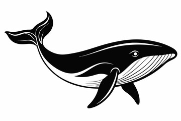 whale line art silhouette vector illustration