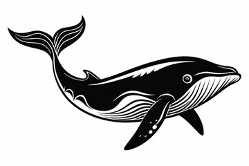 whale line art silhouette vector illustration