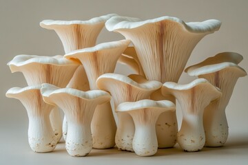 King Oyster Mushrooms Edible Fungus Minimalist Composition Beige Background Natural Light Still Life