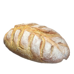 3D rendering illustration of a homemade rustic sourdough bread