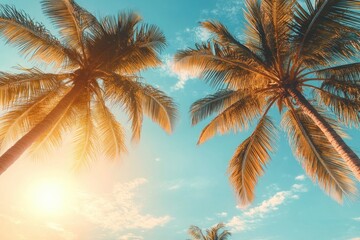 Palm Trees in Sunset Sky with Beach Clouds and Exotic Paradise Landscape