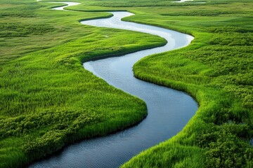 Winding River Through Lush Green Meadow